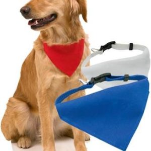 Collar Bandana Roco